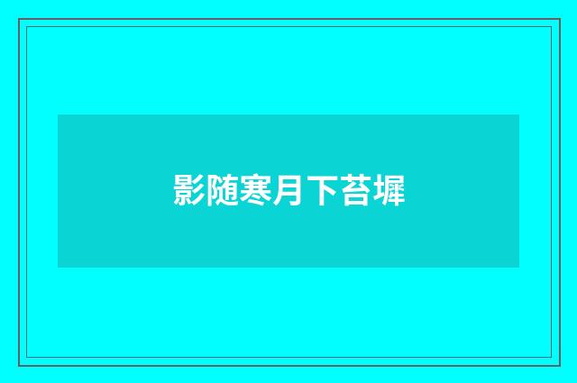 影随寒月下苔墀