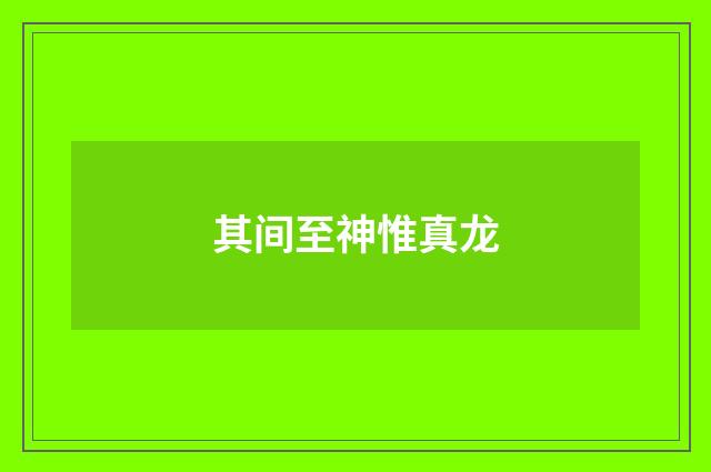 其间至神惟真龙