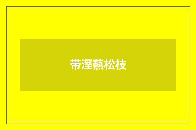 带溼爇松枝