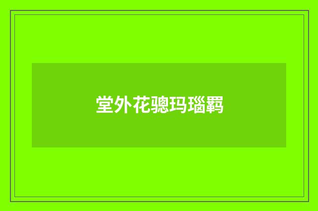 堂外花骢玛瑙羁