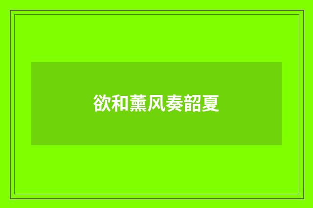 欲和薰风奏韶夏