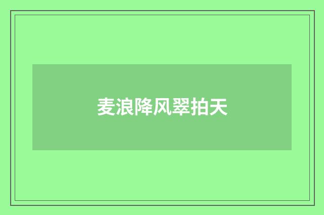 麦浪降风翠拍天