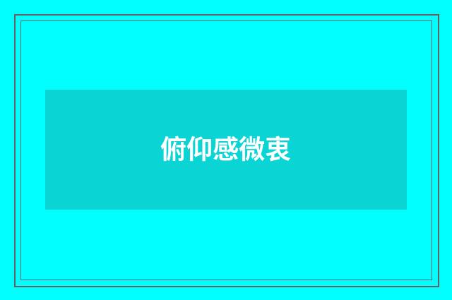 俯仰感微衷