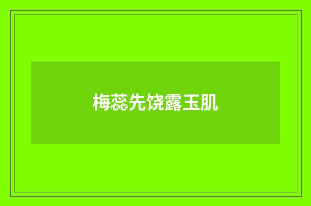 梅蕊先饶露玉肌
