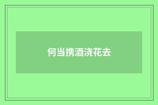 何当携酒浇花去