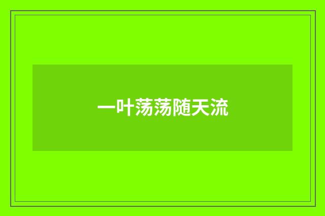 一叶荡荡随天流