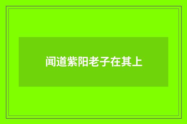 闻道紫阳老子在其上