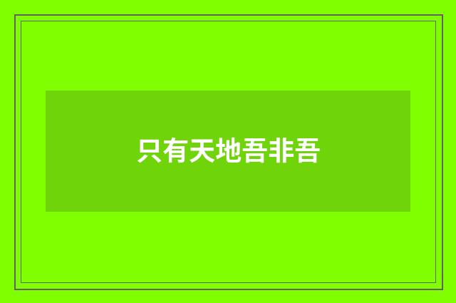 只有天地吾非吾