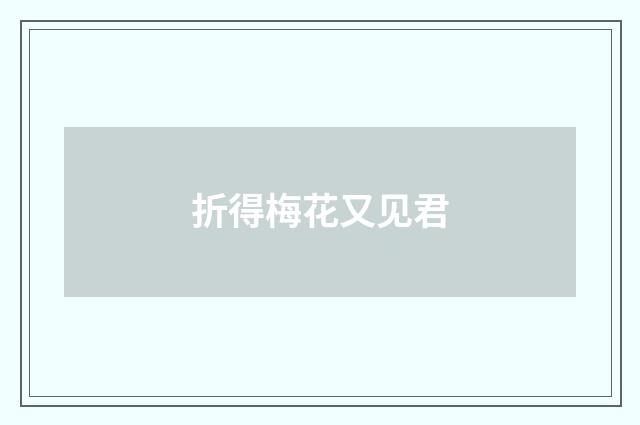 折得梅花又见君