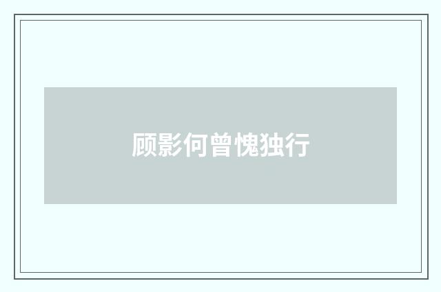 顾影何曾愧独行