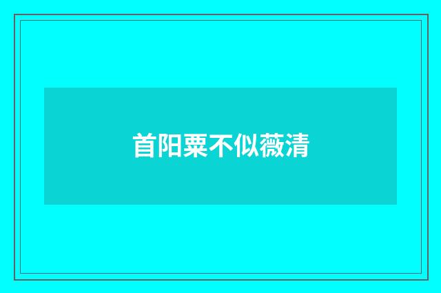 首阳粟不似薇清