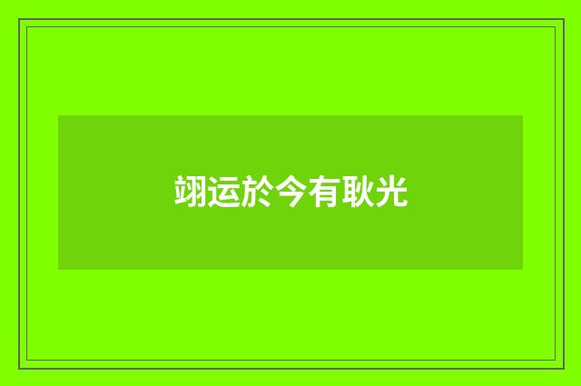 翊运於今有耿光