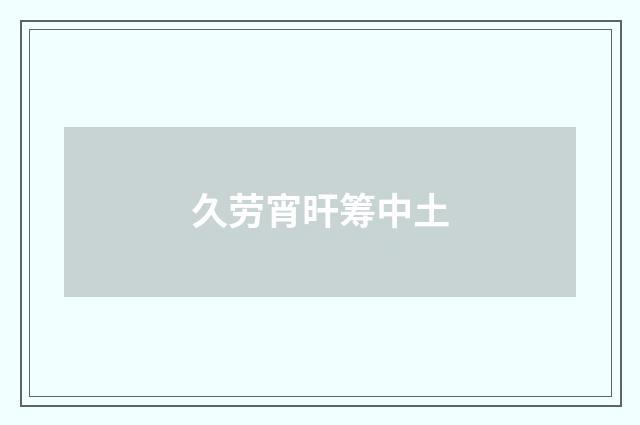 久劳宵旰筹中土