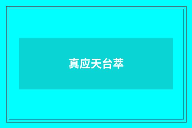真应天台萃