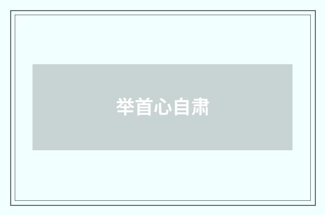 举首心自肃