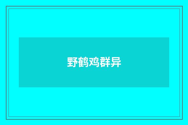 野鹤鸡群异