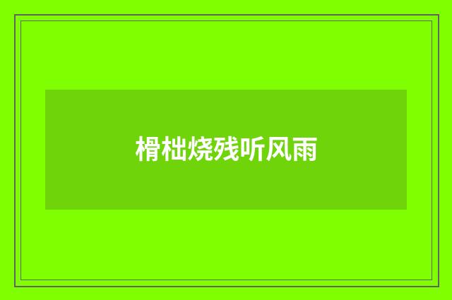 榾柮烧残听风雨