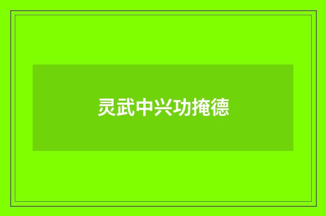 灵武中兴功掩德