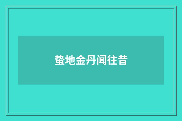 蛰地金丹闻往昔