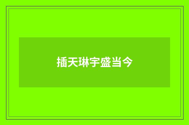 插天琳宇盛当今