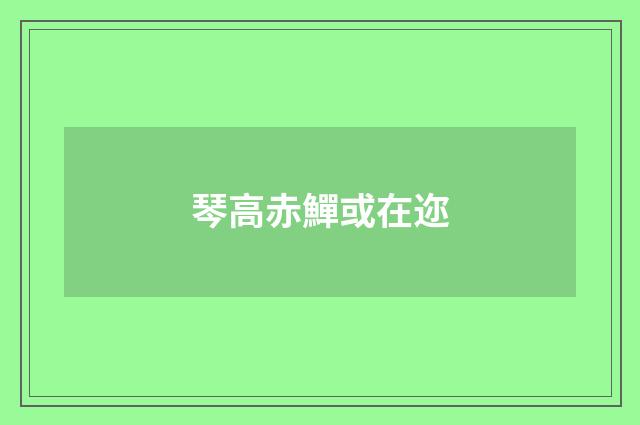 琴高赤鱓或在迩