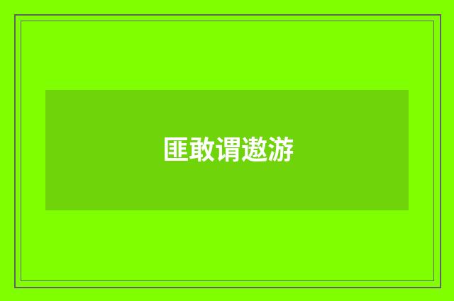 匪敢谓遨游