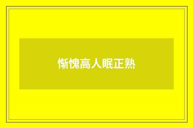 惭愧高人眠正熟