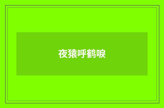 夜猿呼鹤唳