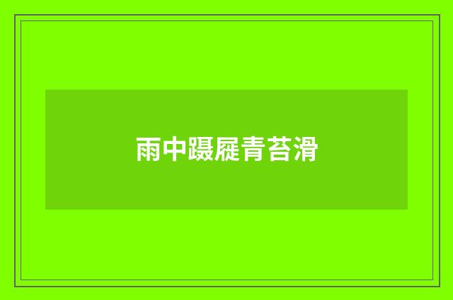 雨中蹑屣青苔滑