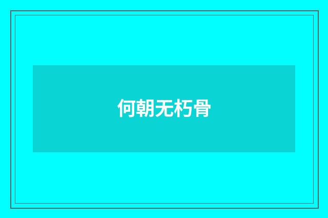 何朝无朽骨