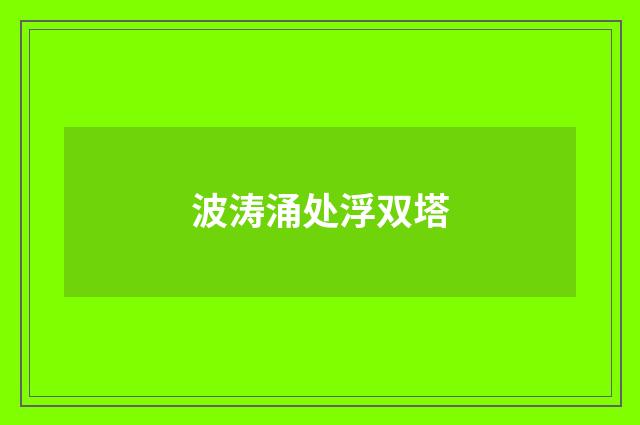 波涛涌处浮双塔