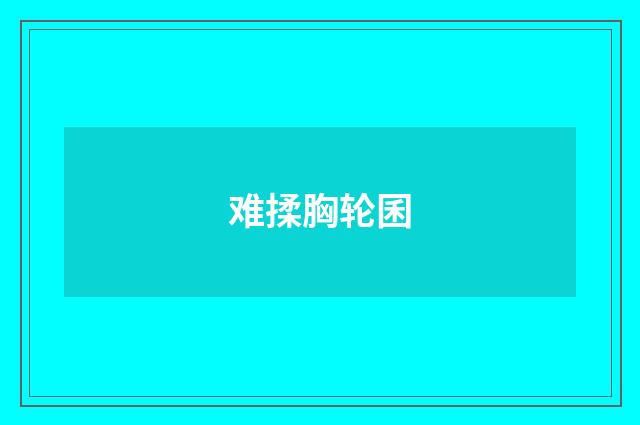 难揉胸轮囷