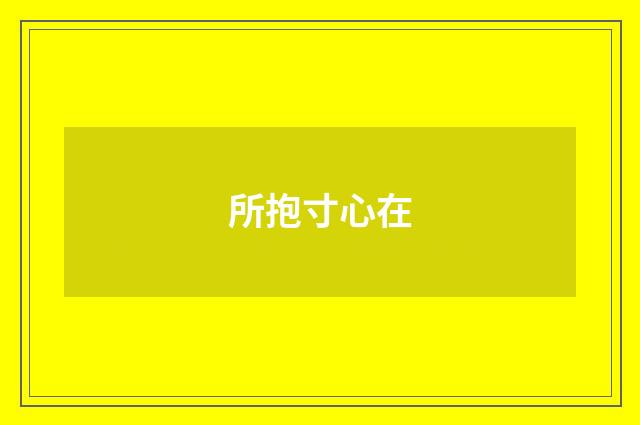所抱寸心在