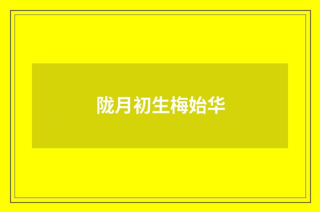 陇月初生梅始华