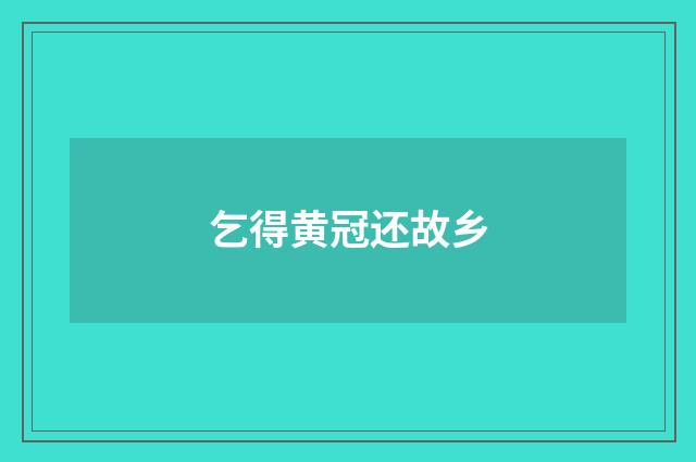 乞得黄冠还故乡