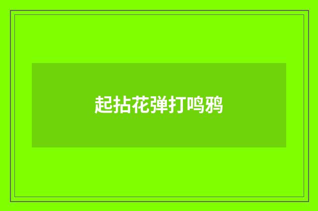 起拈花弹打鸣鸦