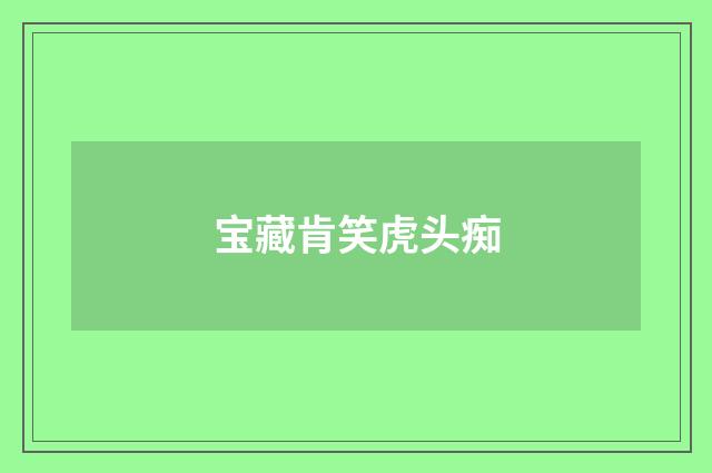 宝藏肯笑虎头痴