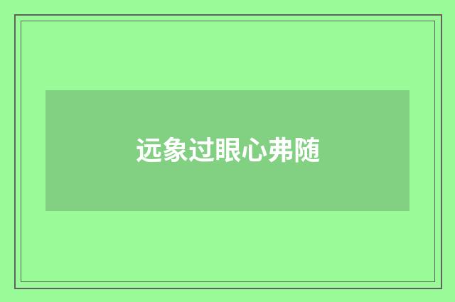 远象过眼心弗随