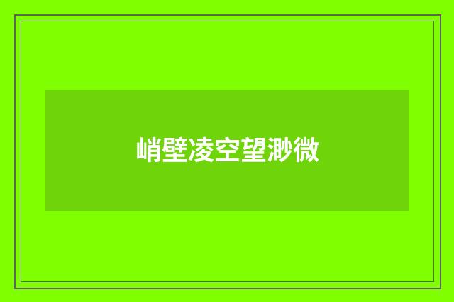 峭壁凌空望渺微