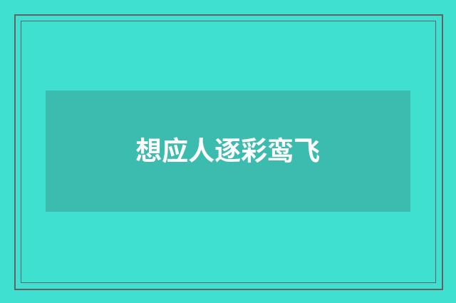 想应人逐彩鸾飞