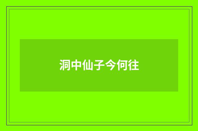 洞中仙子今何往