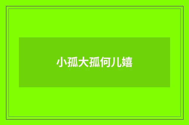 小孤大孤何儿嬉