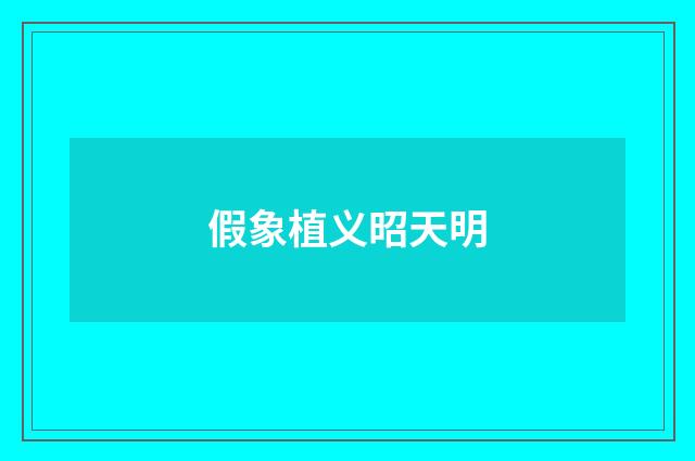 假象植义昭天明