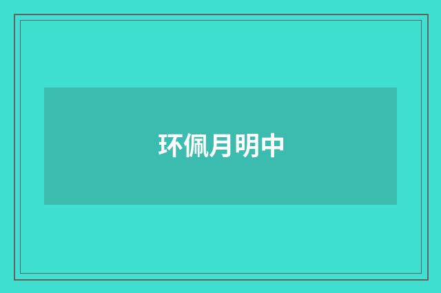 环佩月明中