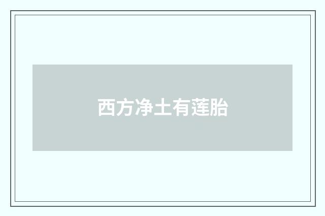 西方净土有莲胎