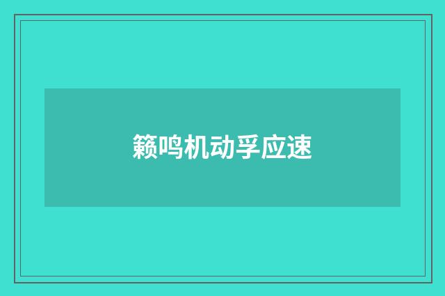 籁鸣机动孚应速