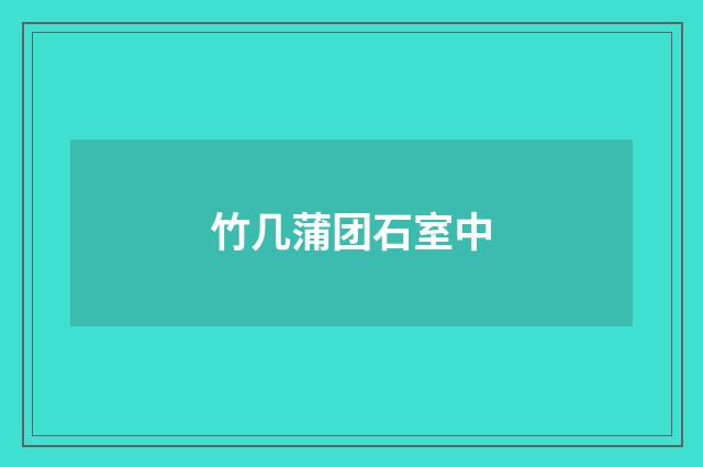 竹几蒲团石室中