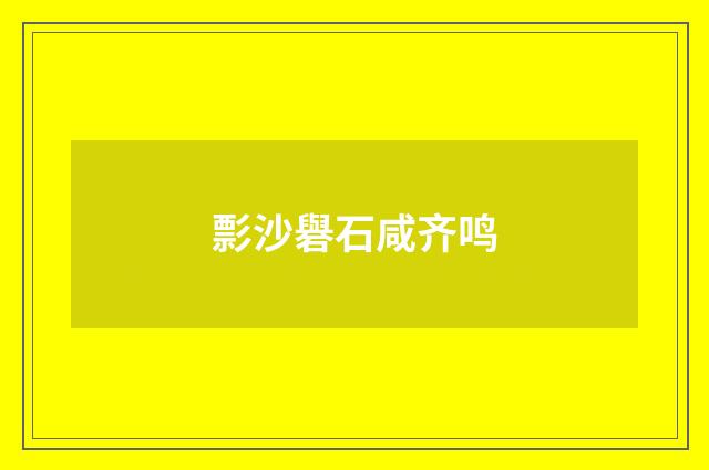 彯沙礜石咸齐鸣