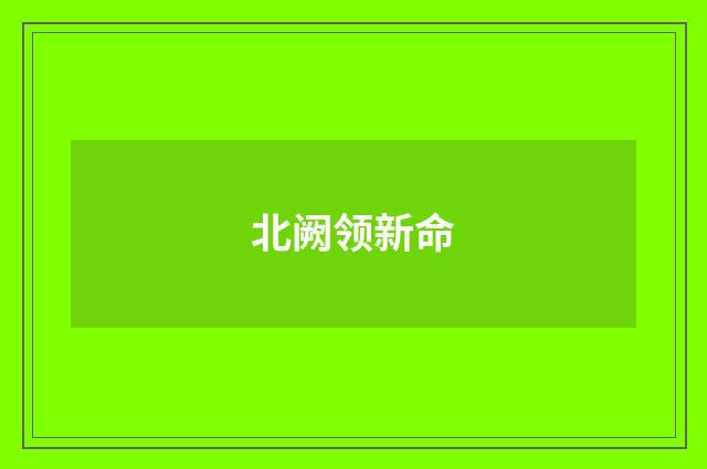 北阙领新命