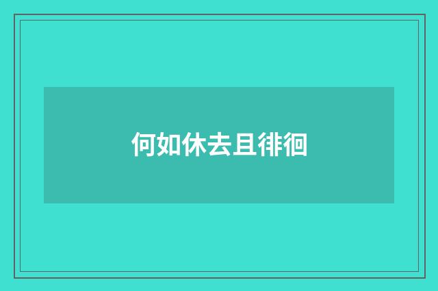 何如休去且徘徊